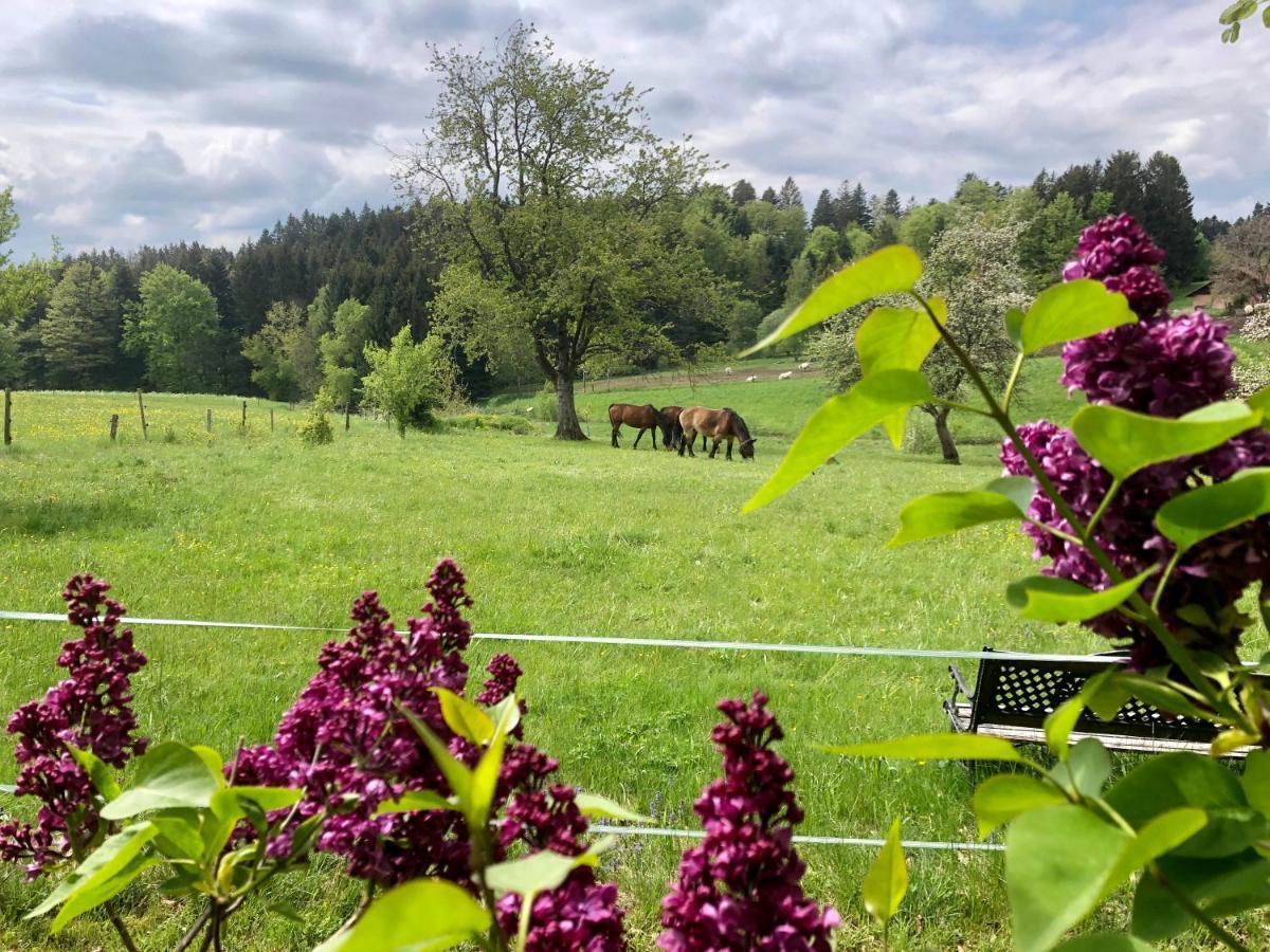Pfaffensteghof Apartment Rickenbach  Екстериор снимка