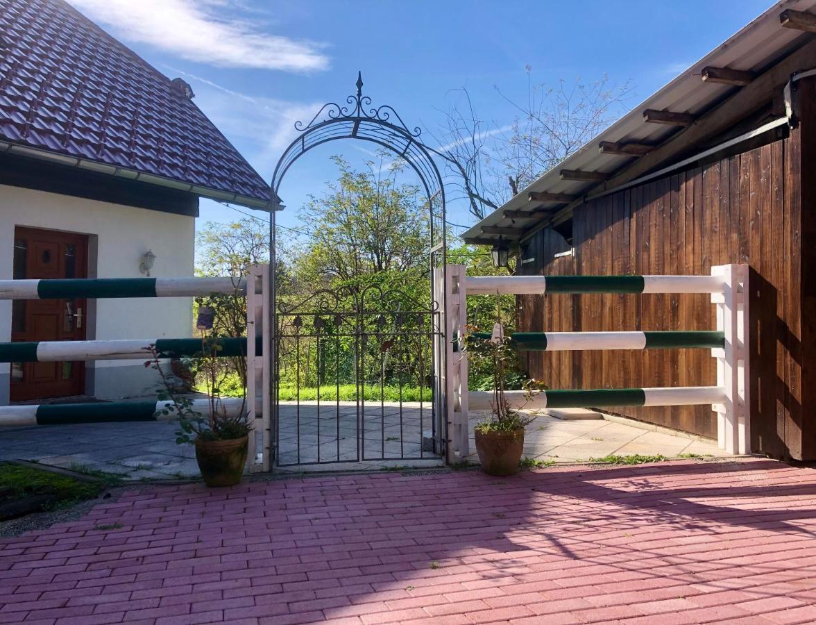 Pfaffensteghof Apartment Rickenbach  Екстериор снимка